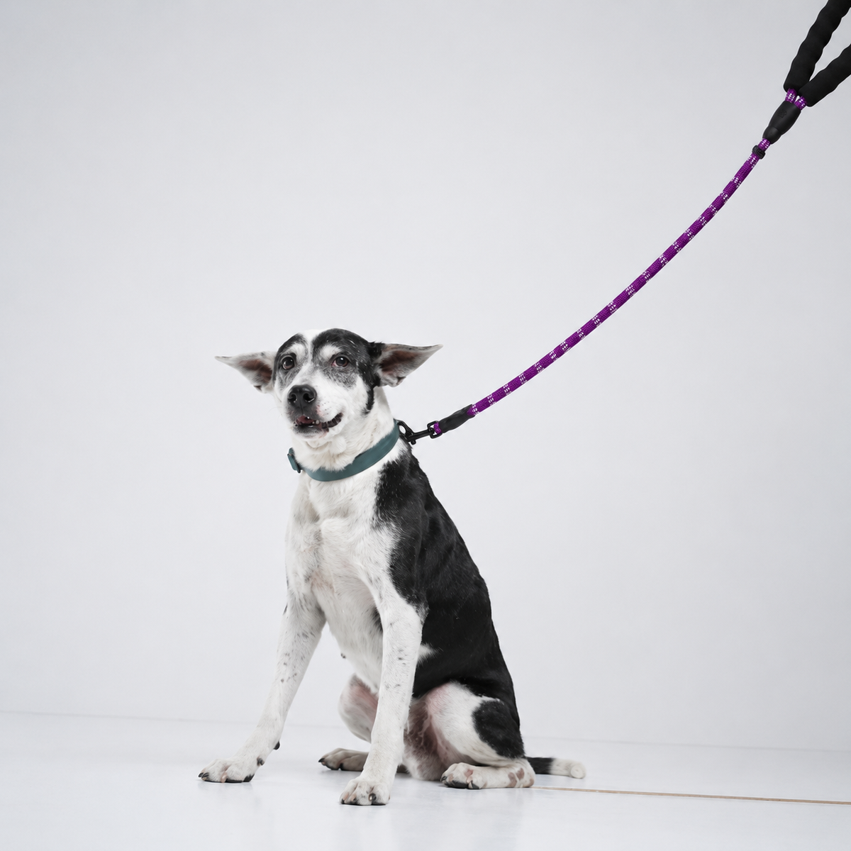 Reflective Rope Lead