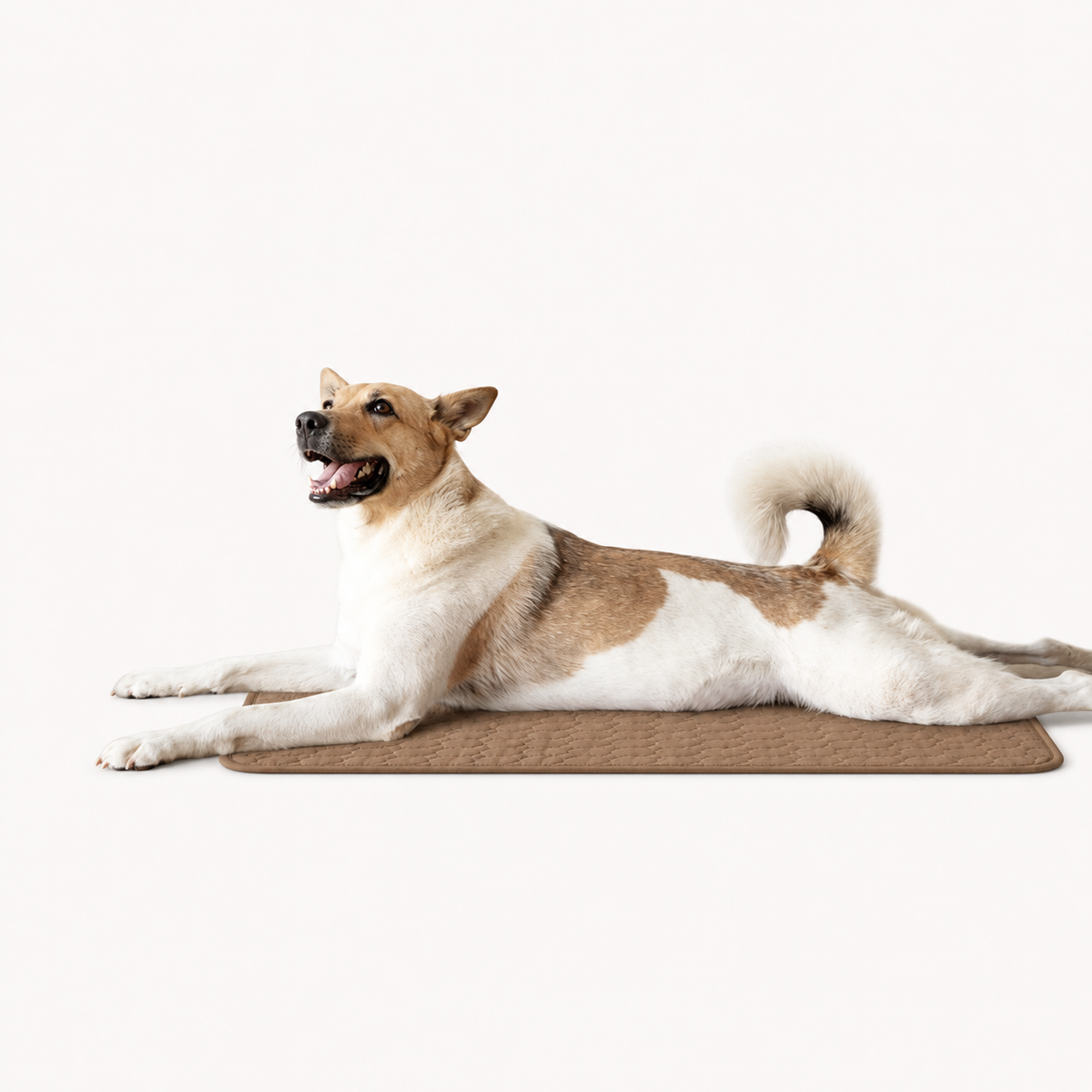 CosyPaw Cooling Mat