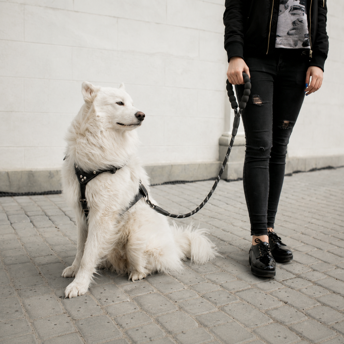 Reflective Rope Lead