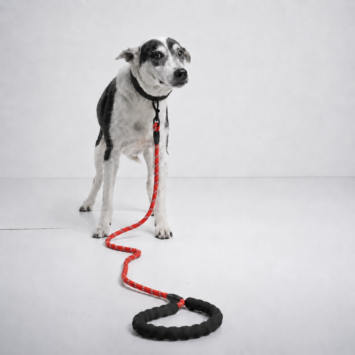 Reflective Rope Lead