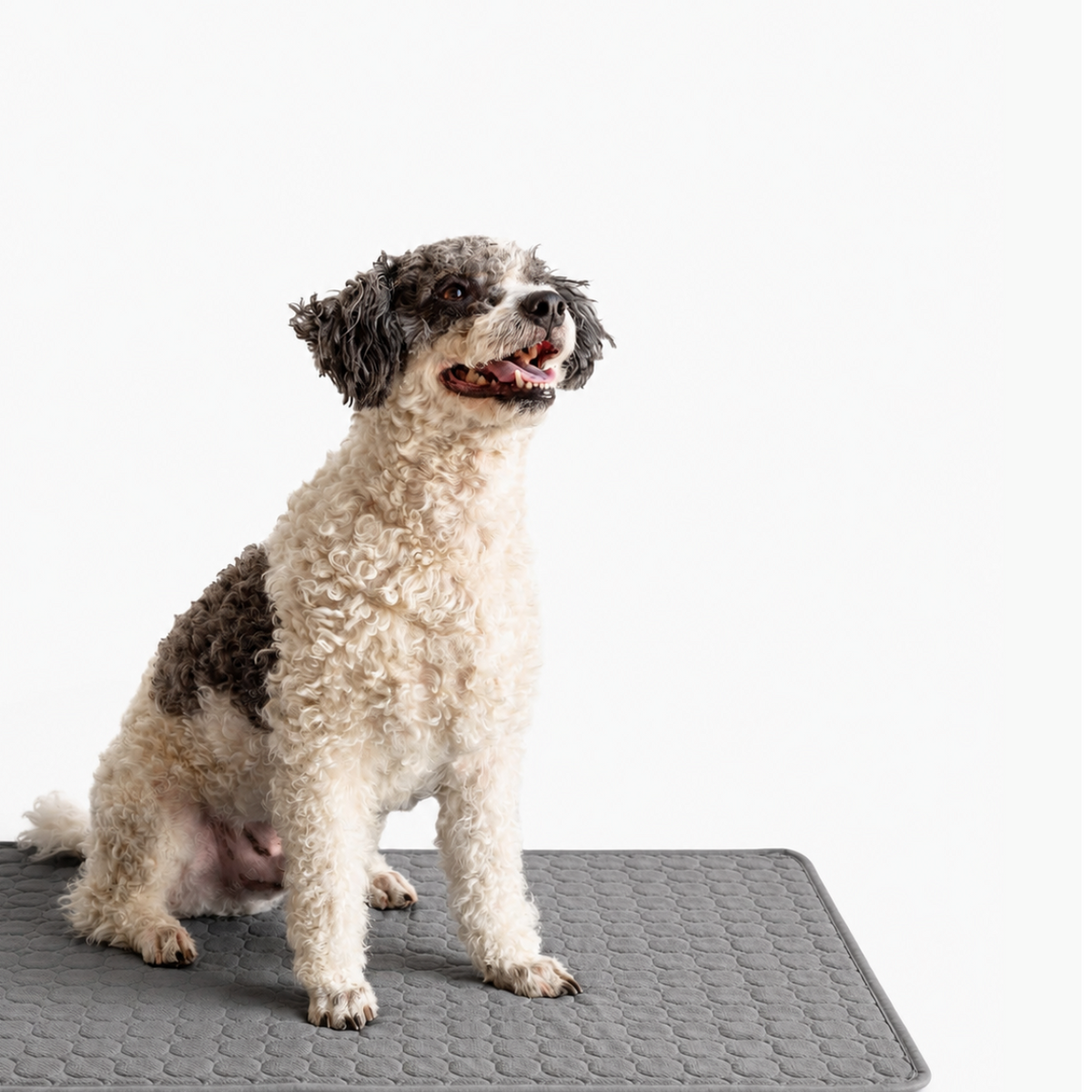 CosyPaw Cooling Mat