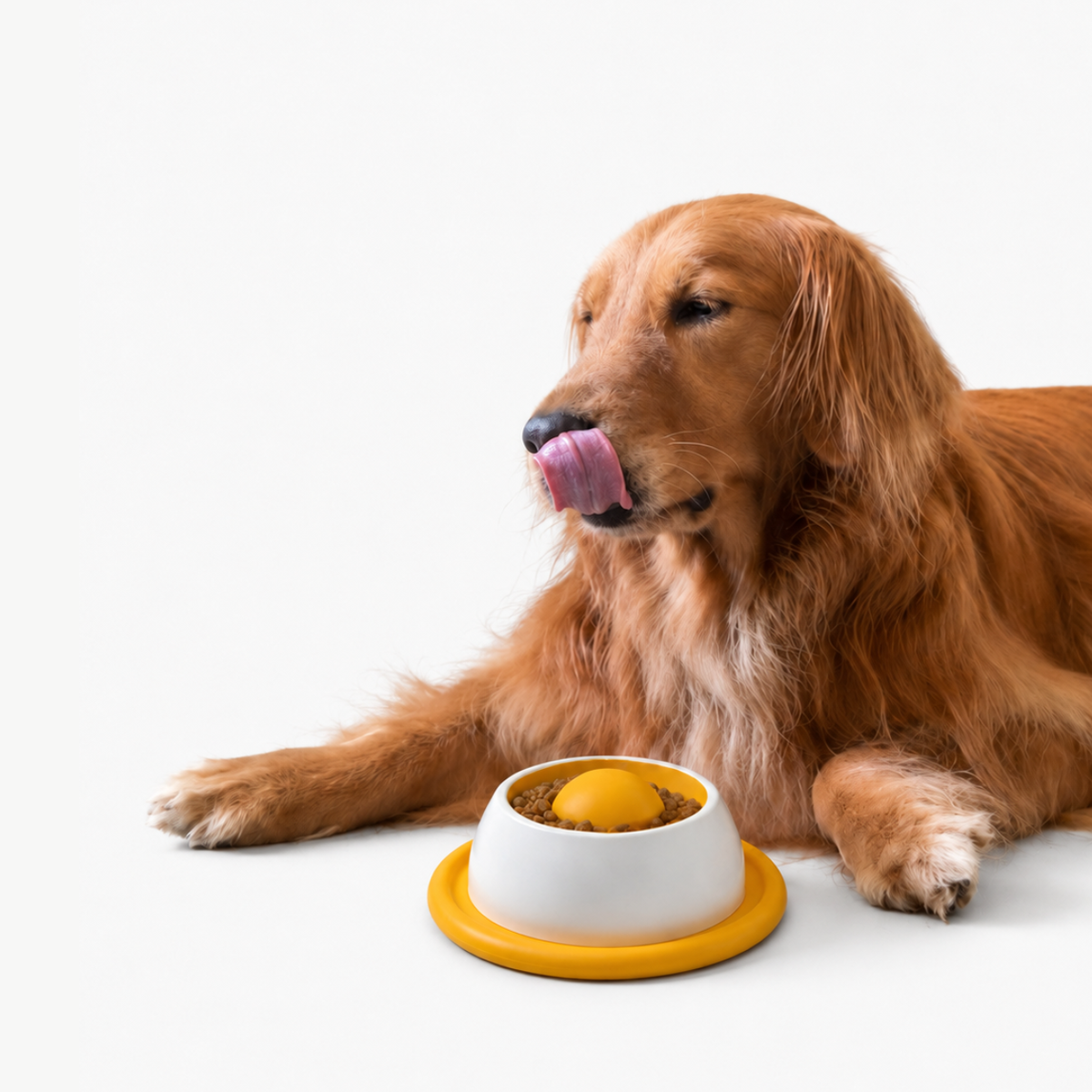 Interactive Lick Bowl