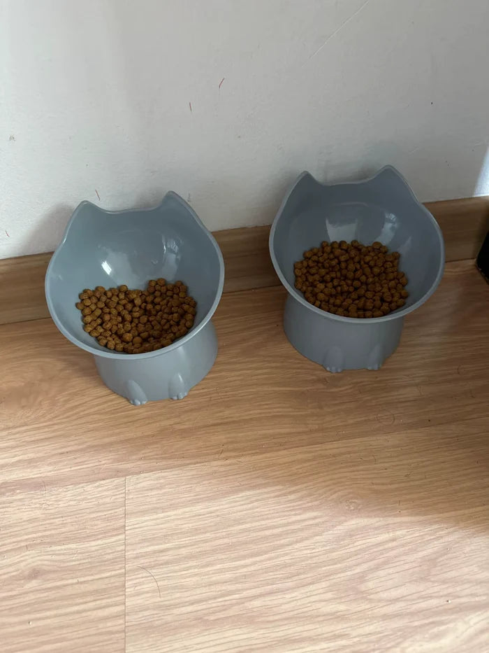 Customer and pet
