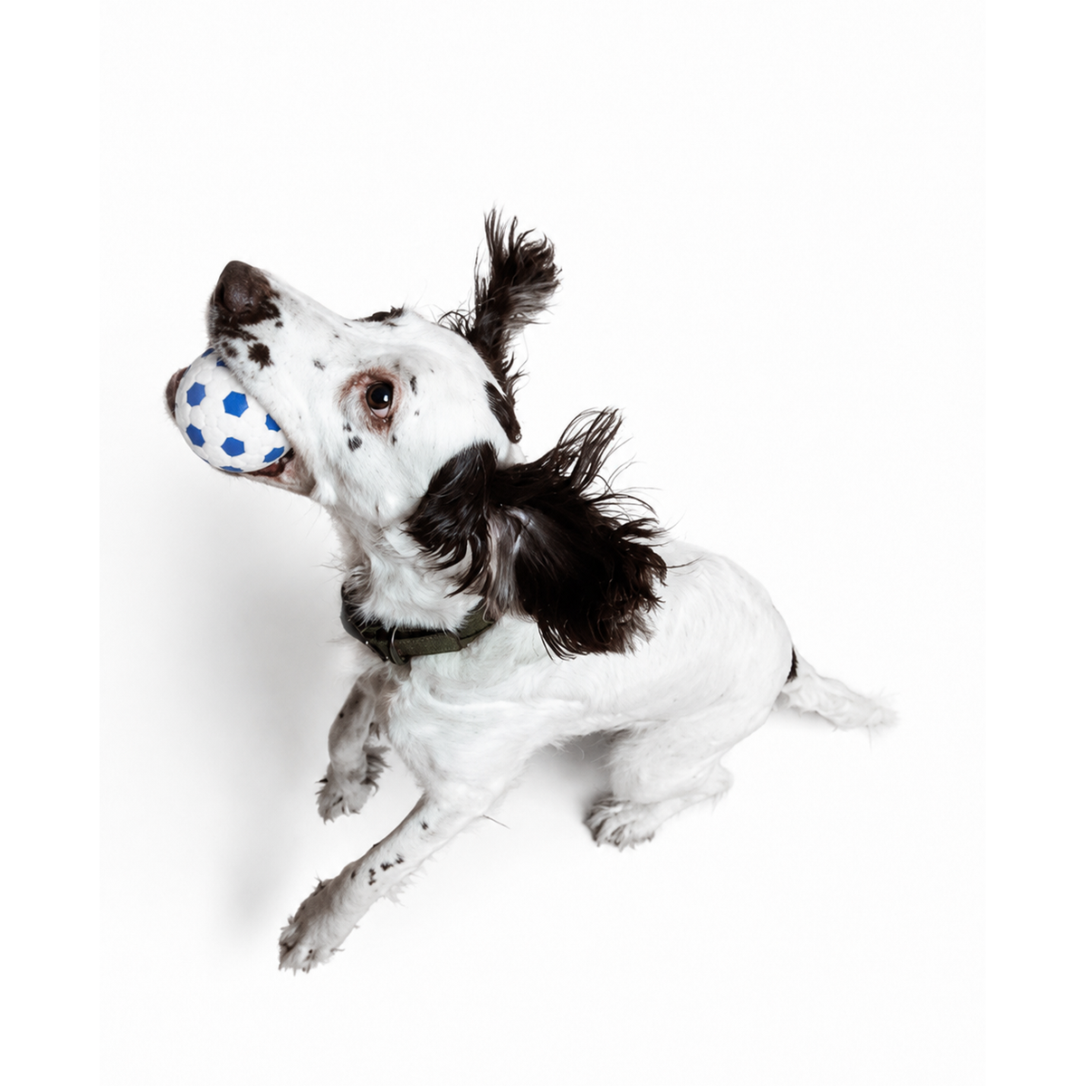 Indestructible Ball