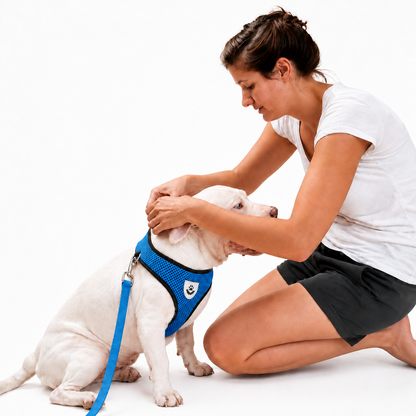 CosyPaw Harness & Lead Set