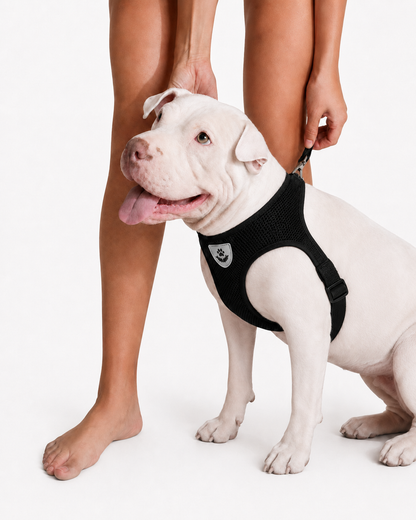 CosyPaw Harness & Lead Set