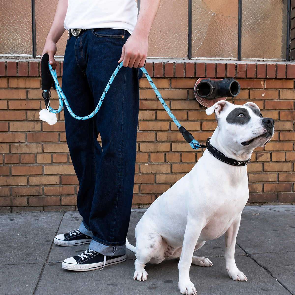 Reflective Rope Lead