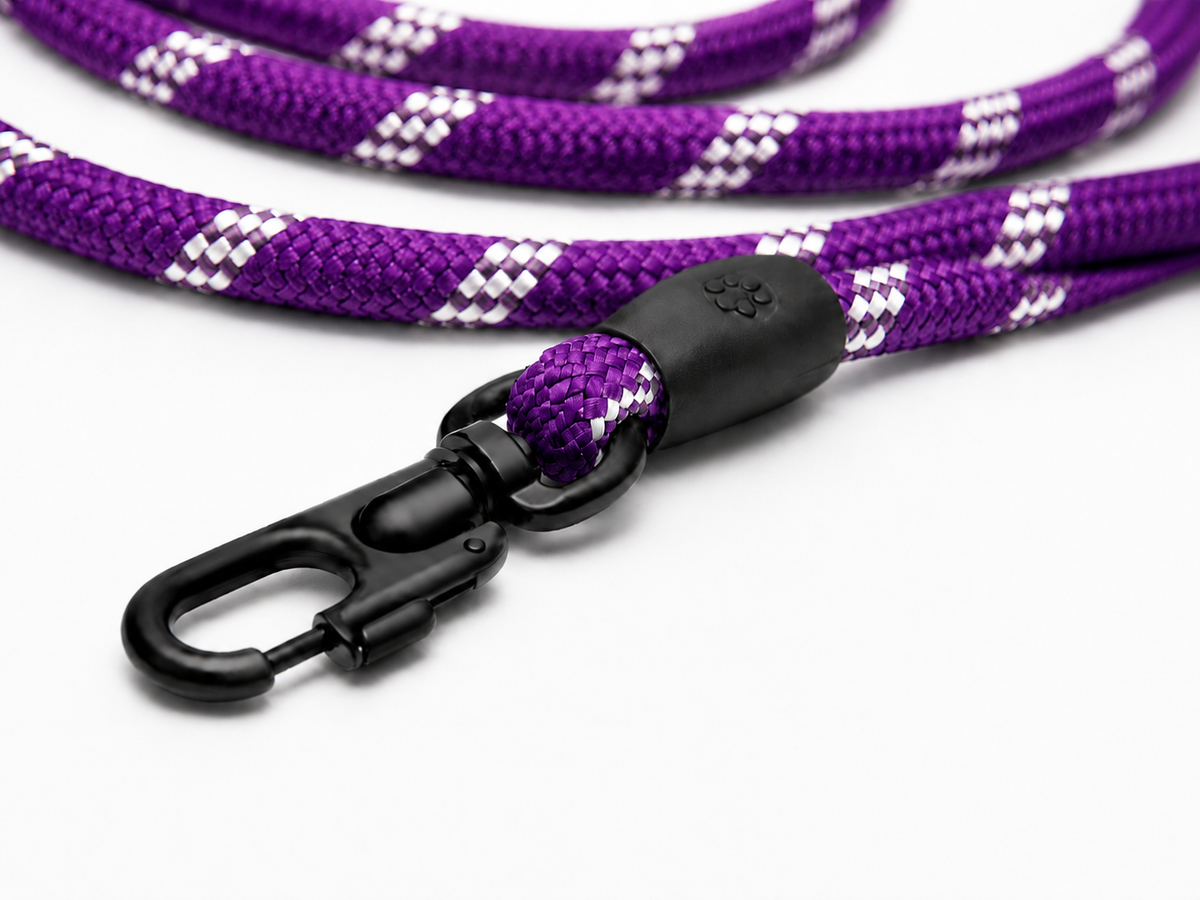 Reflective Rope Lead
