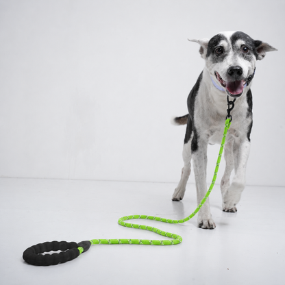 Reflective Rope Lead