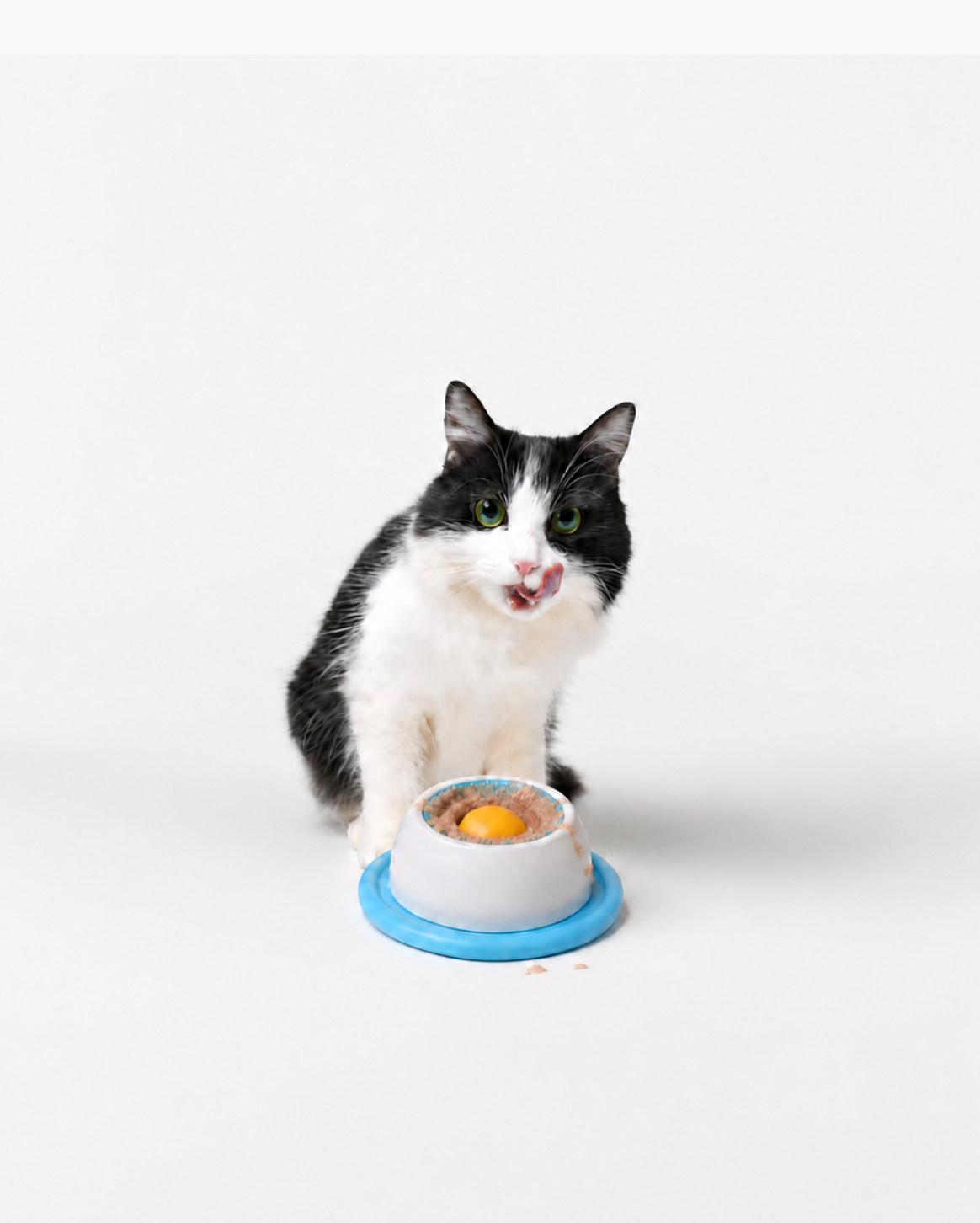 Suction base keeps it in place, even with keen eaters.