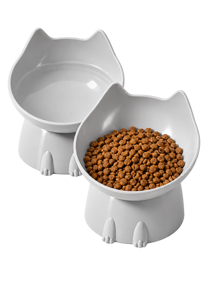 Orthopedic Pet Bowl