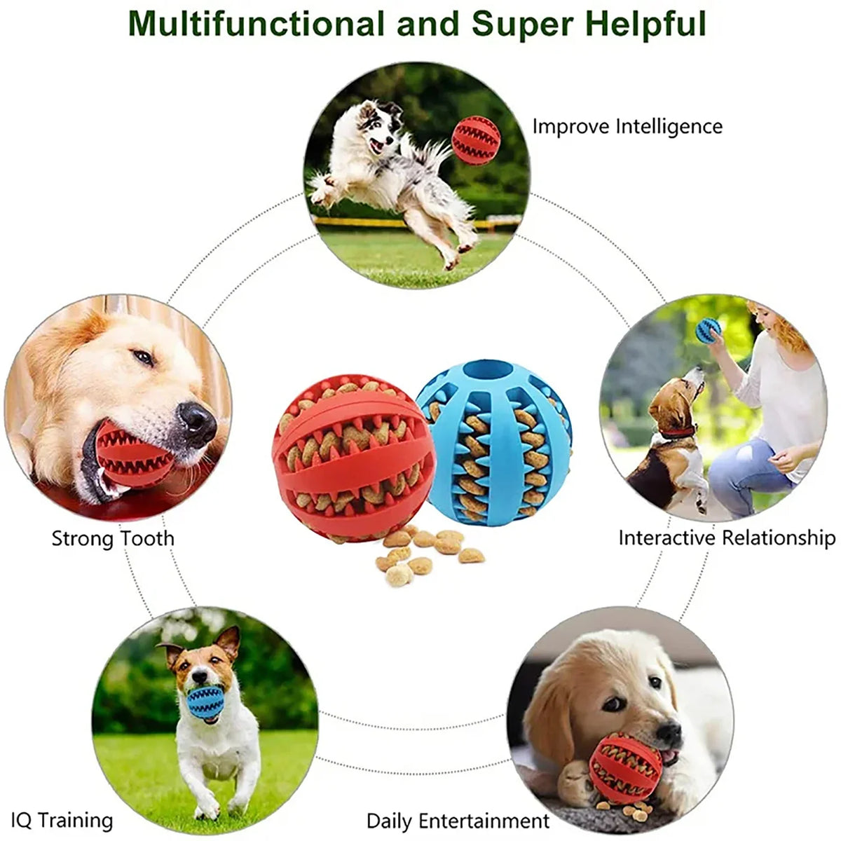 Puzzle Ball Feeder
